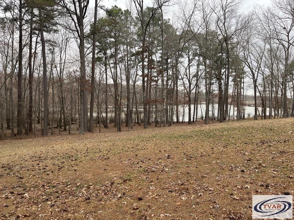 Photo of Listing #2914568