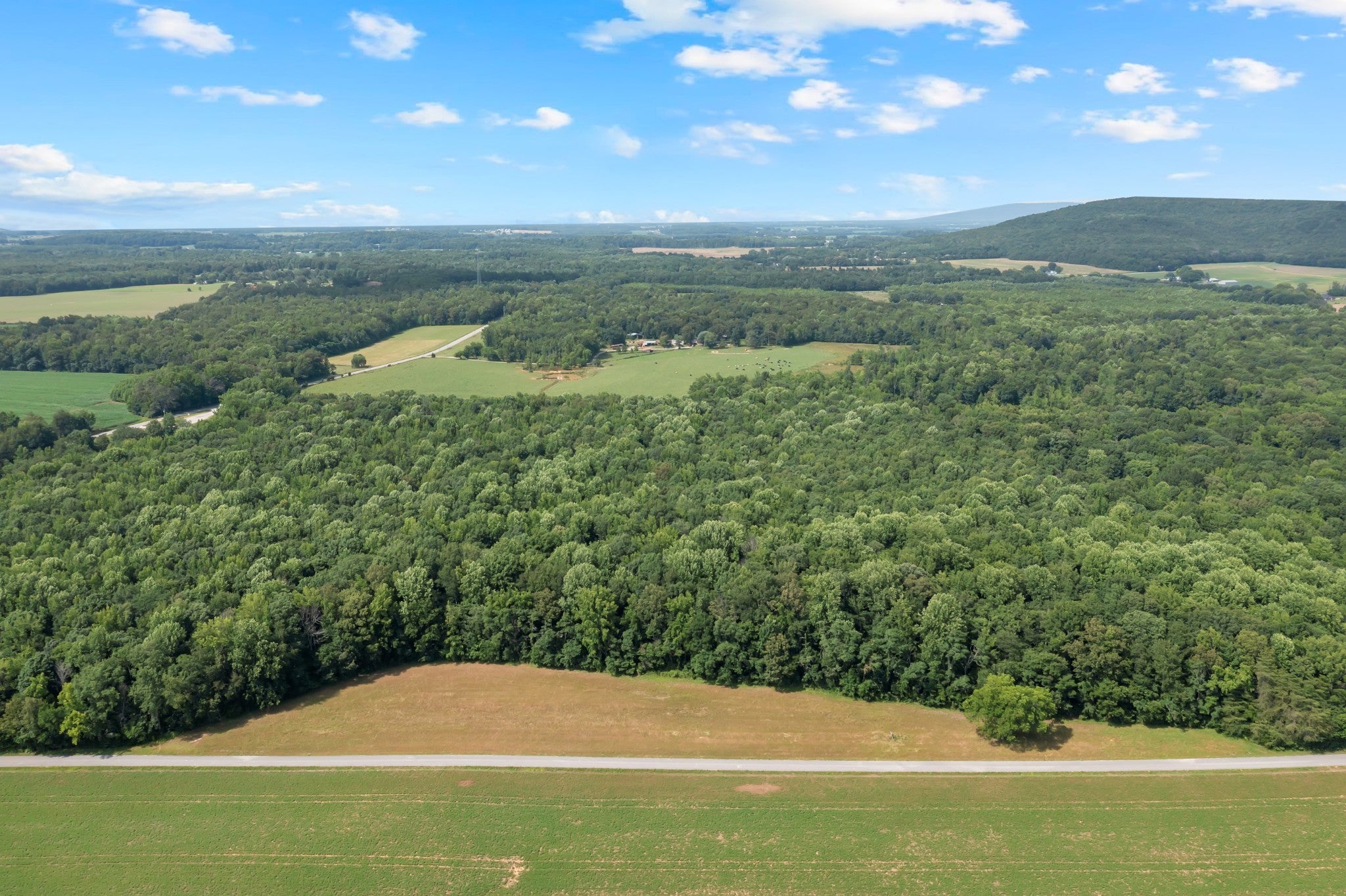 Photo of Listing #2914682