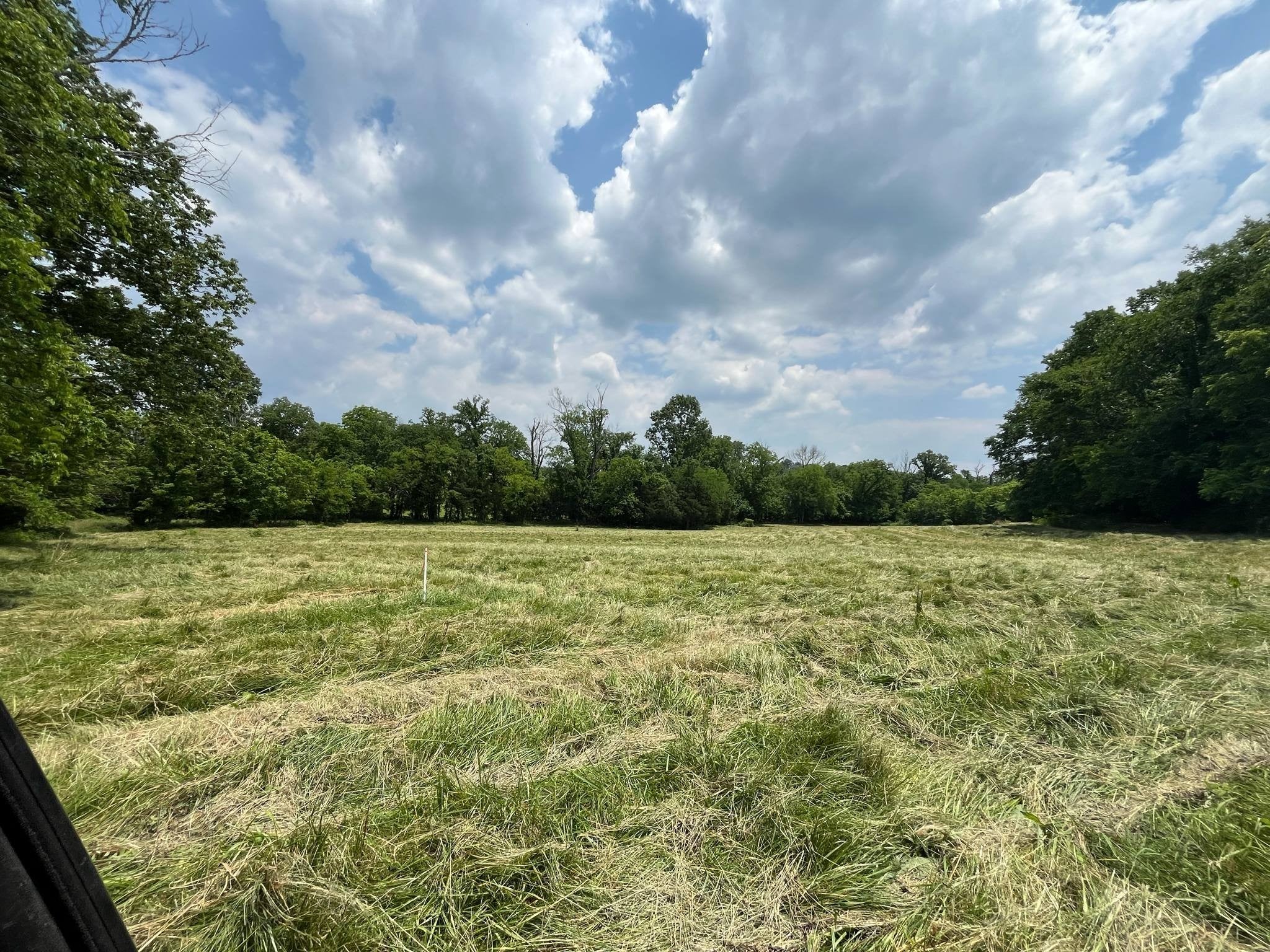 Photo of Listing #2915195