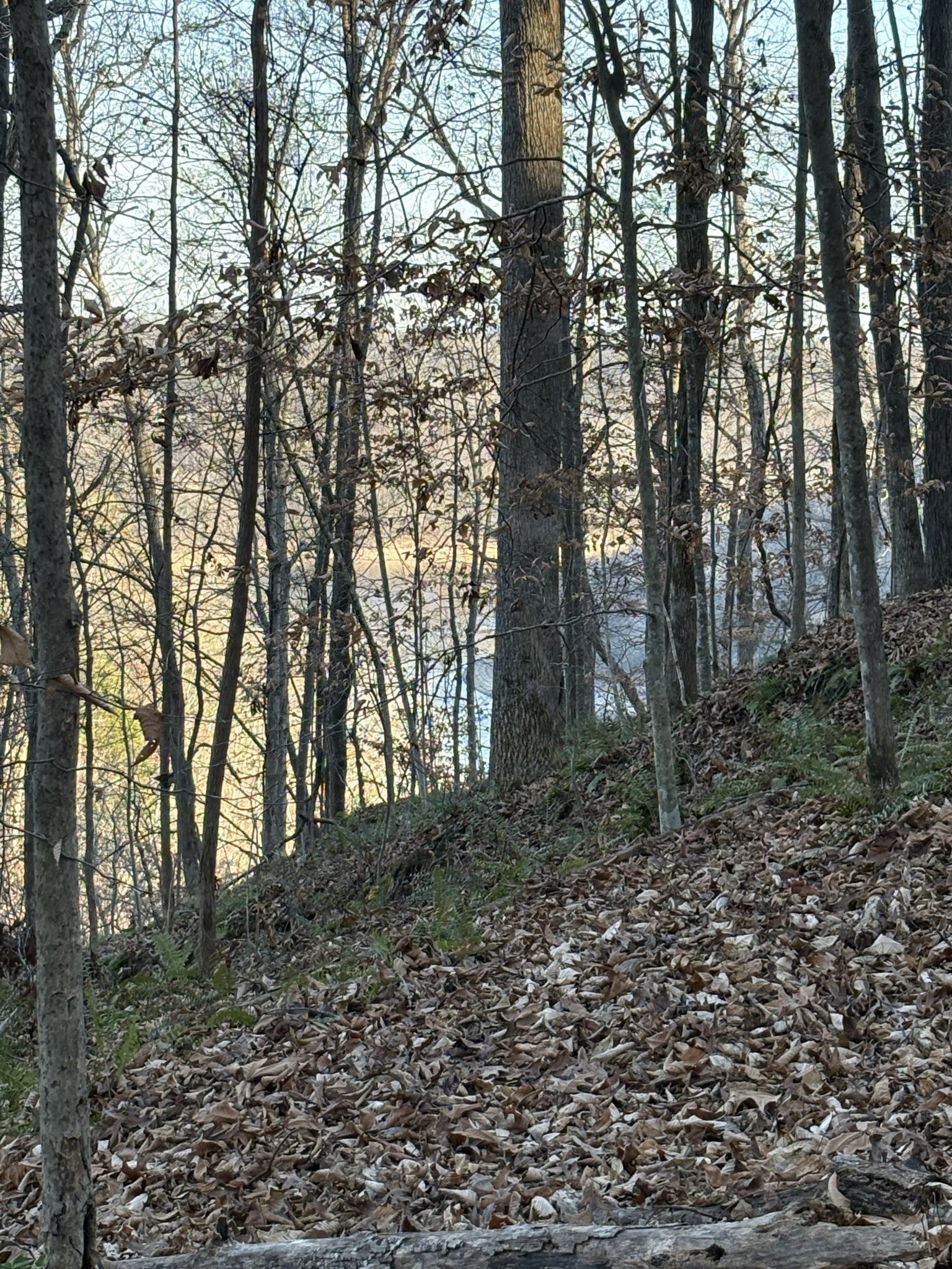 Photo of Listing #2915199