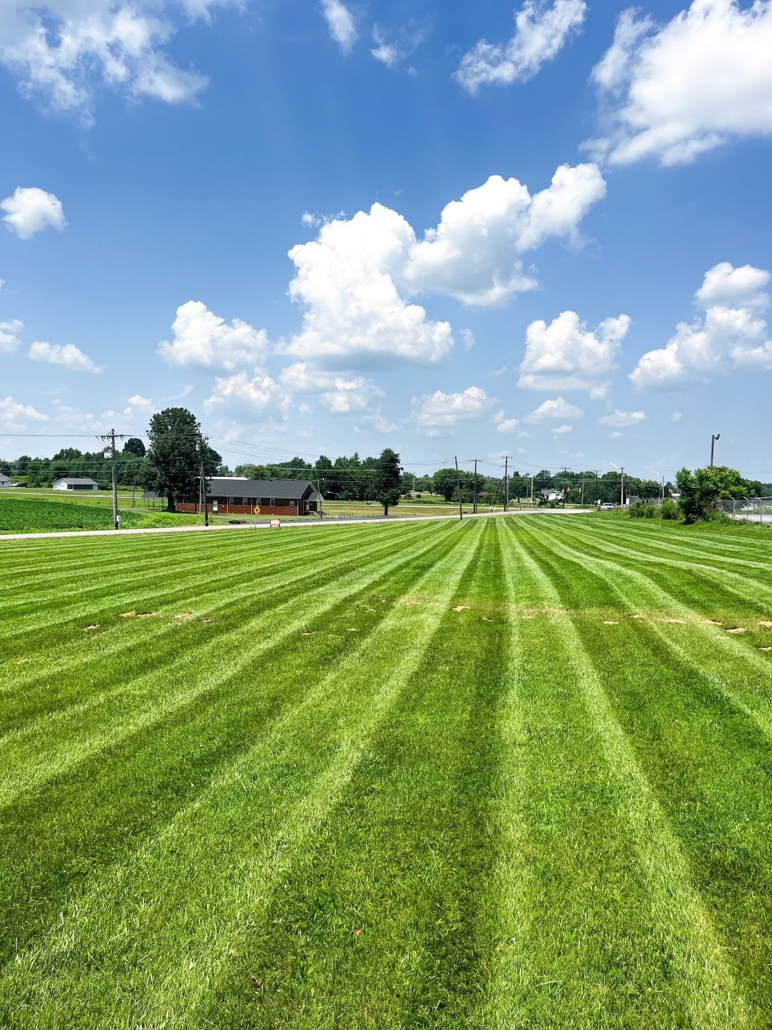 Photo of Listing #2915232