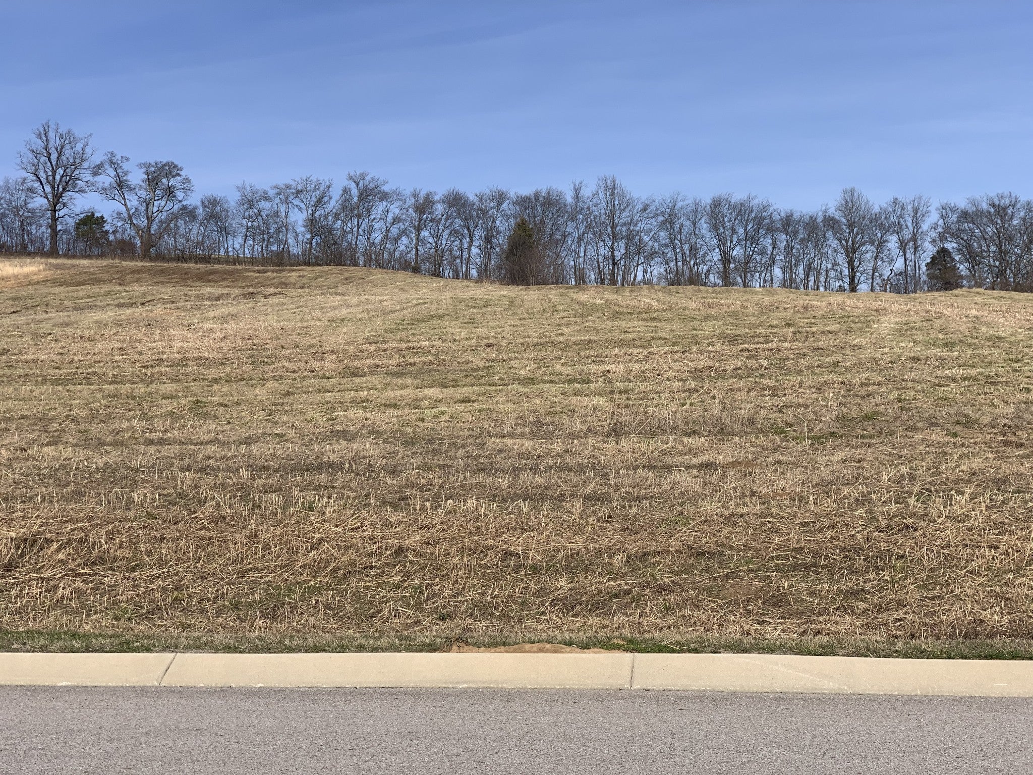 Photo of Listing #2915572