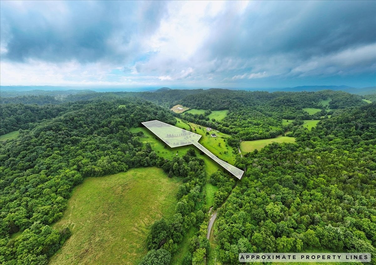 Photo of Listing #2918006