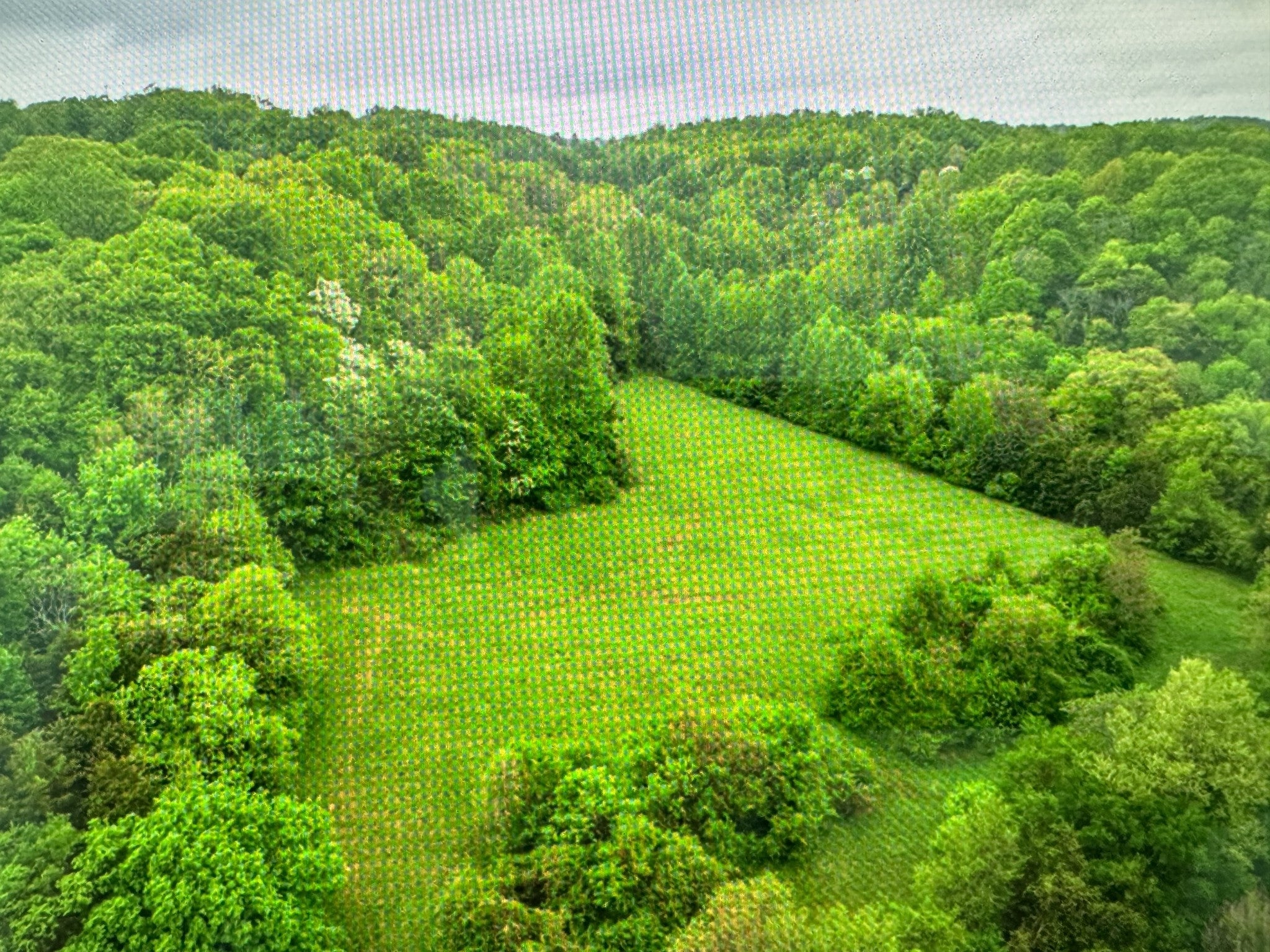 Photo of Listing #2918199
