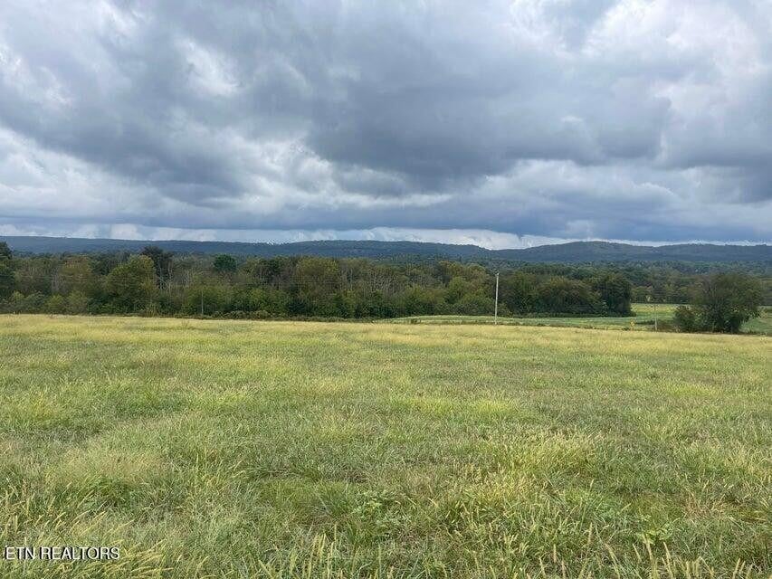 Photo of Listing #2918854