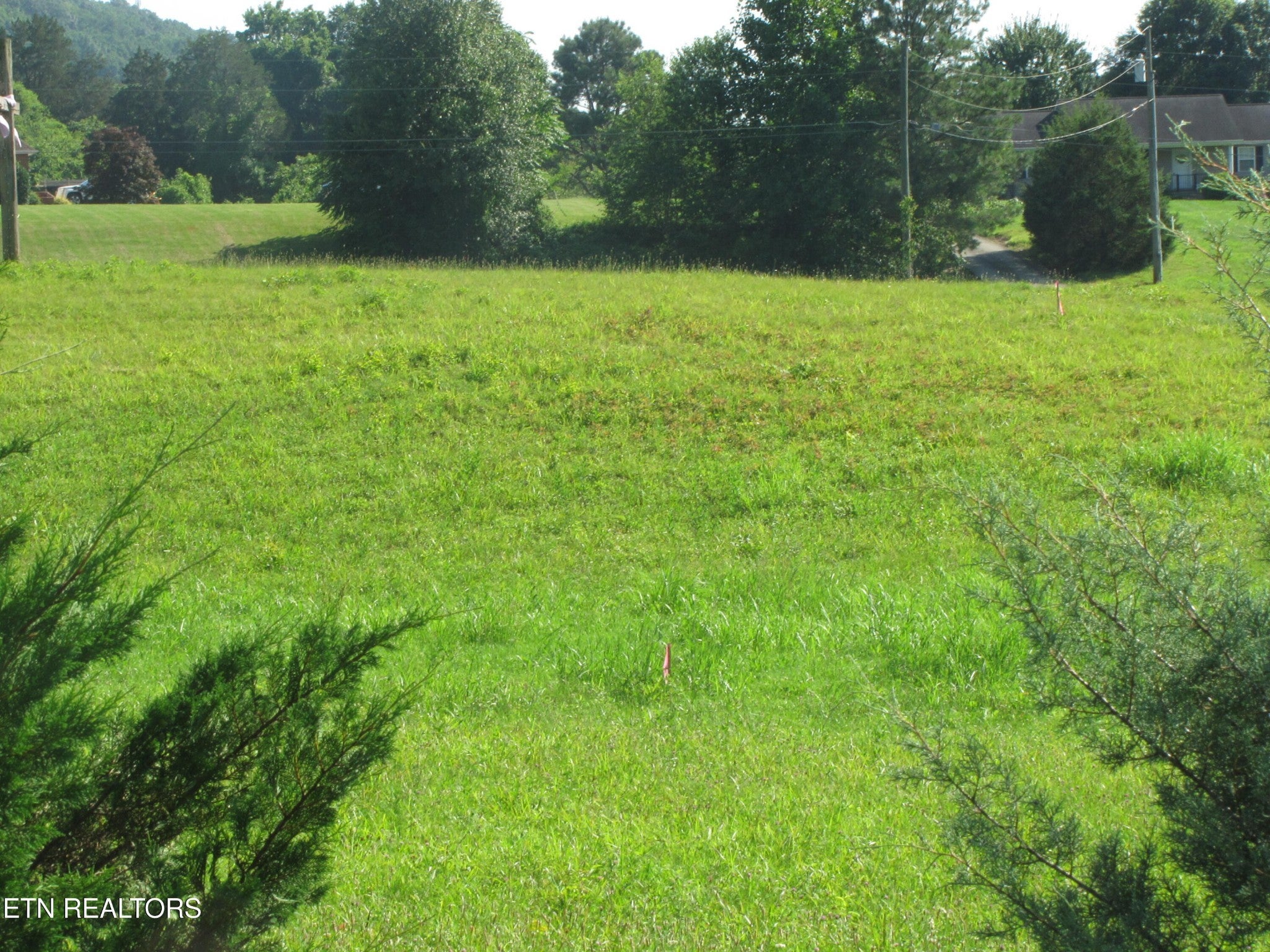 Photo of Listing #2921778