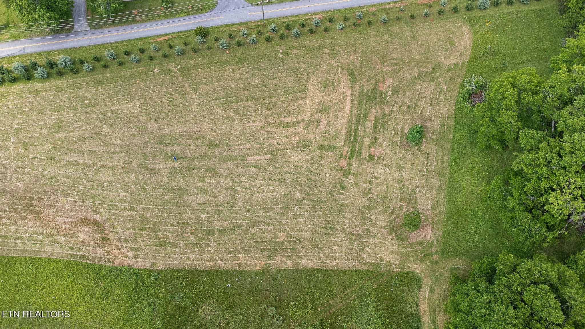 Photo of Listing #2921779