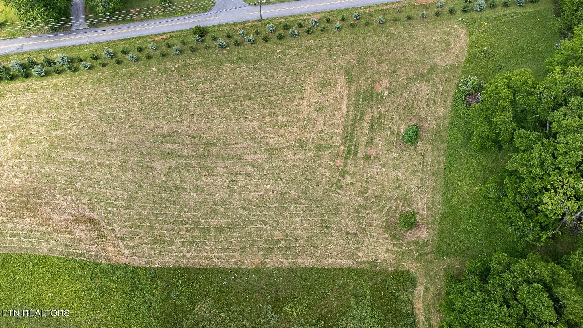 Photo of Listing #2921786