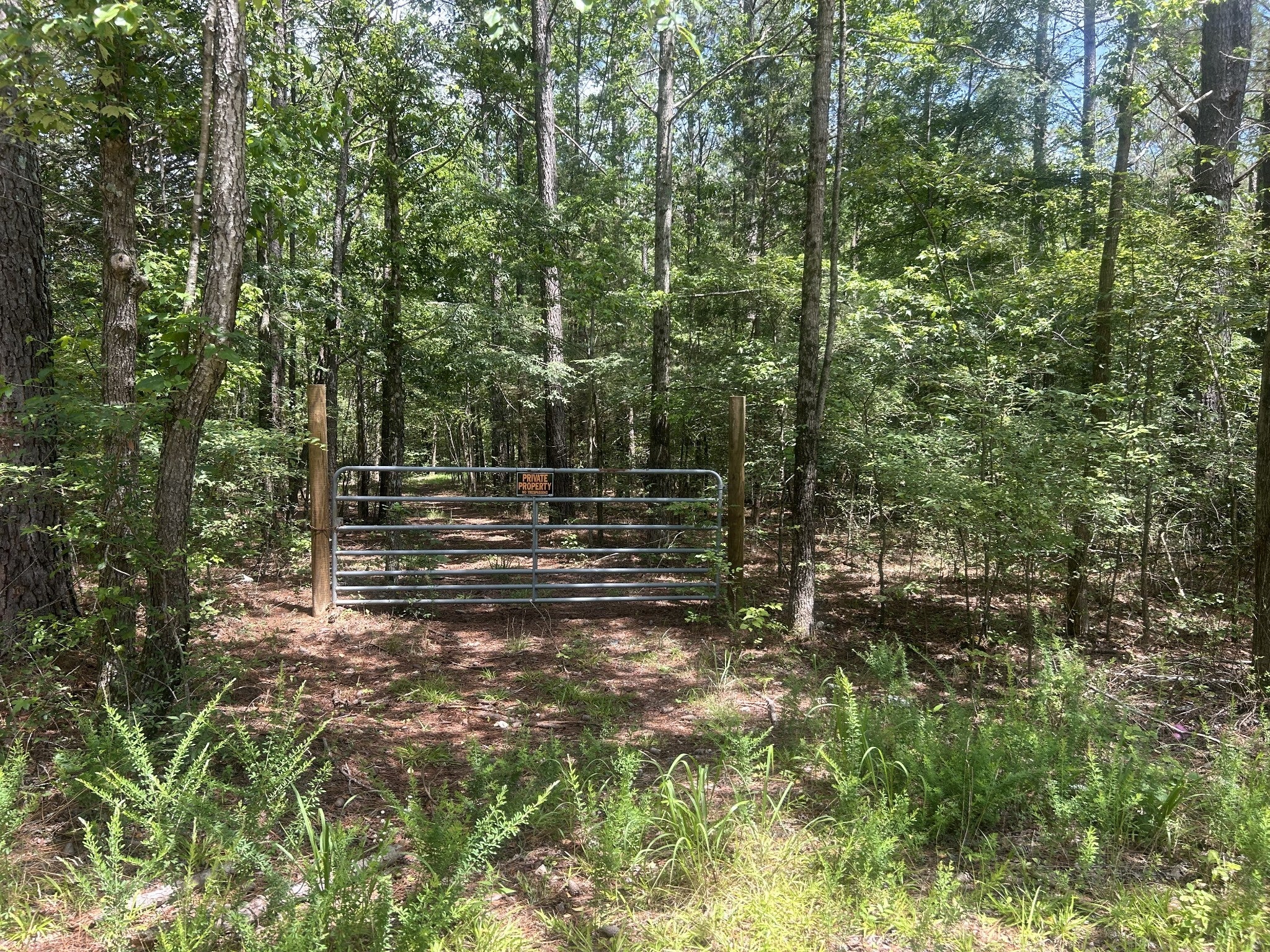 Photo of Listing #2921946