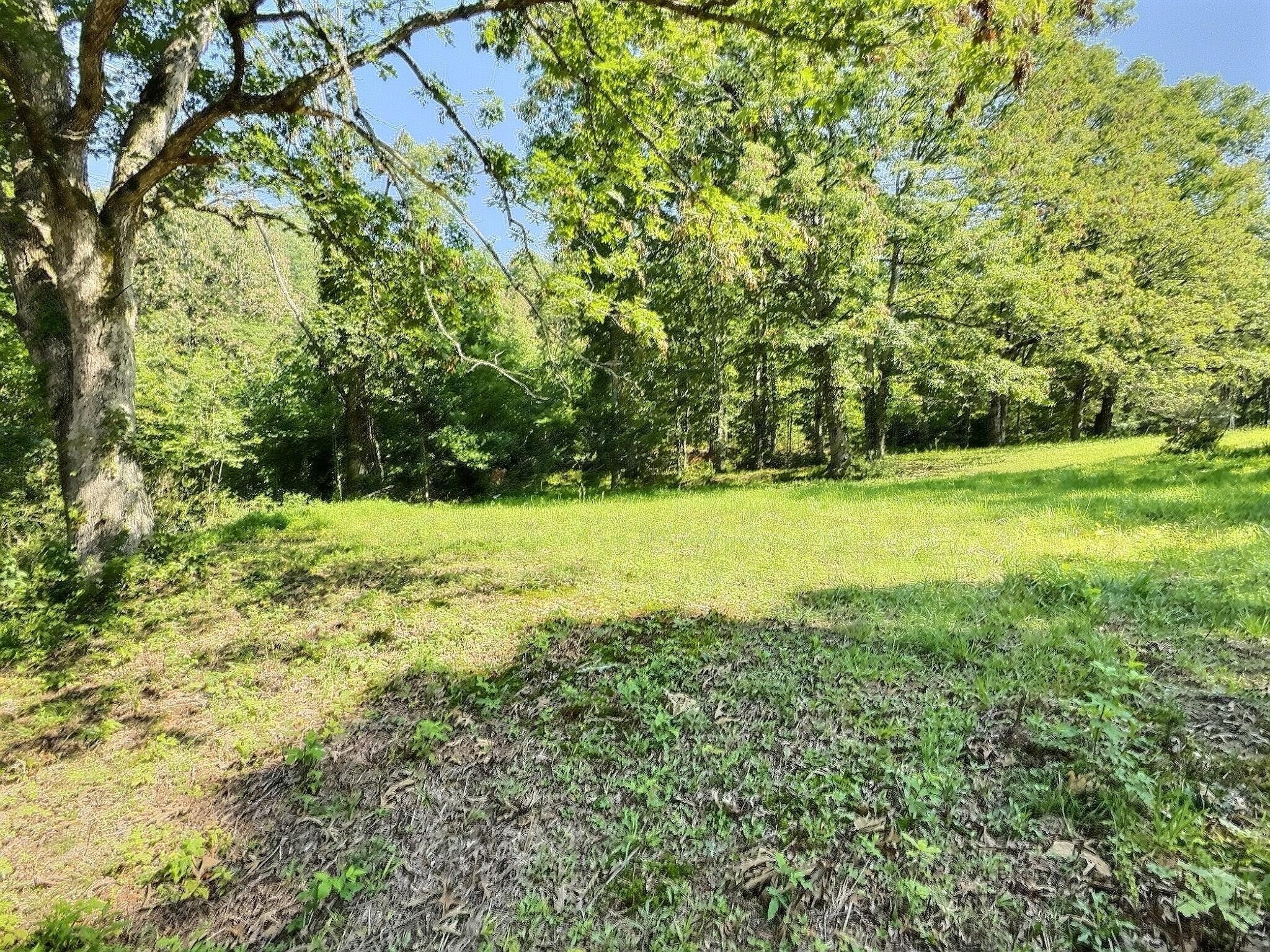 Photo of Listing #2921965