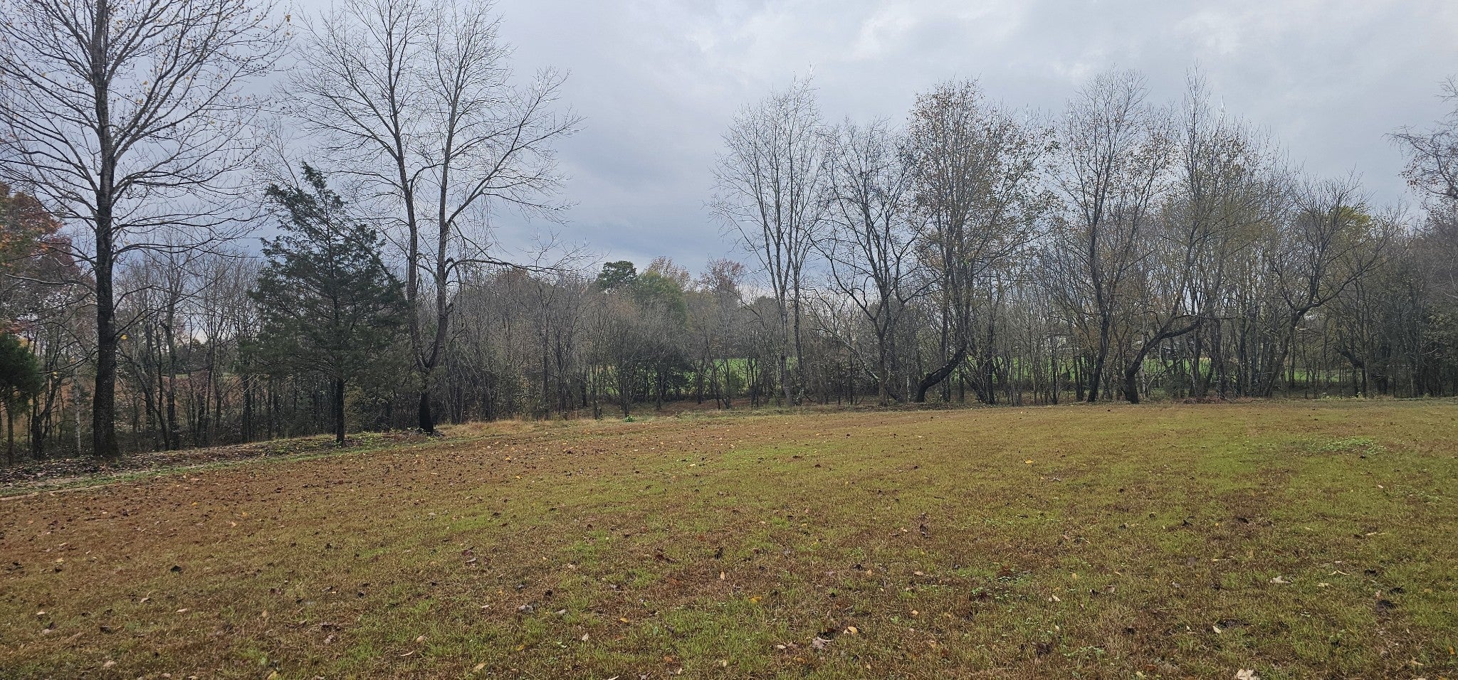 Photo of Listing #2921975