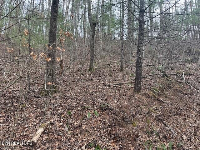 Photo of Listing #2922157