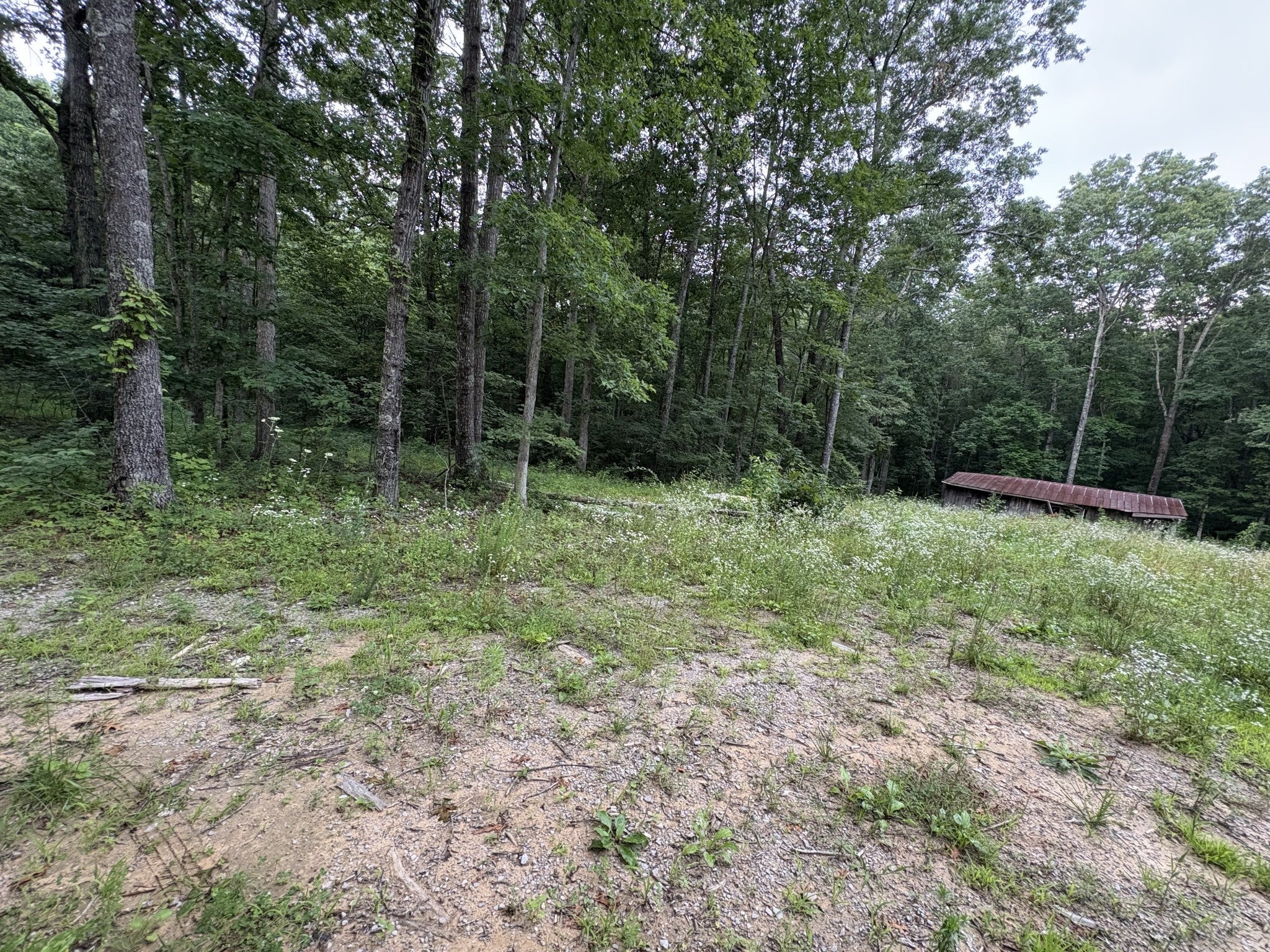 Photo of Listing #2922429