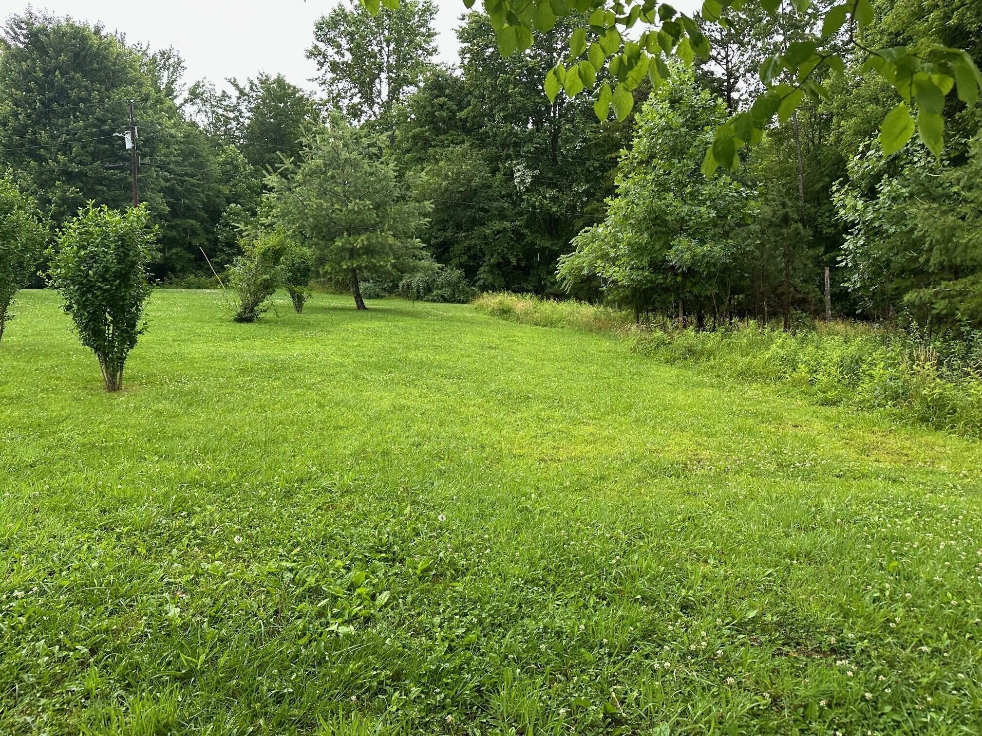 Photo of Listing #2922614