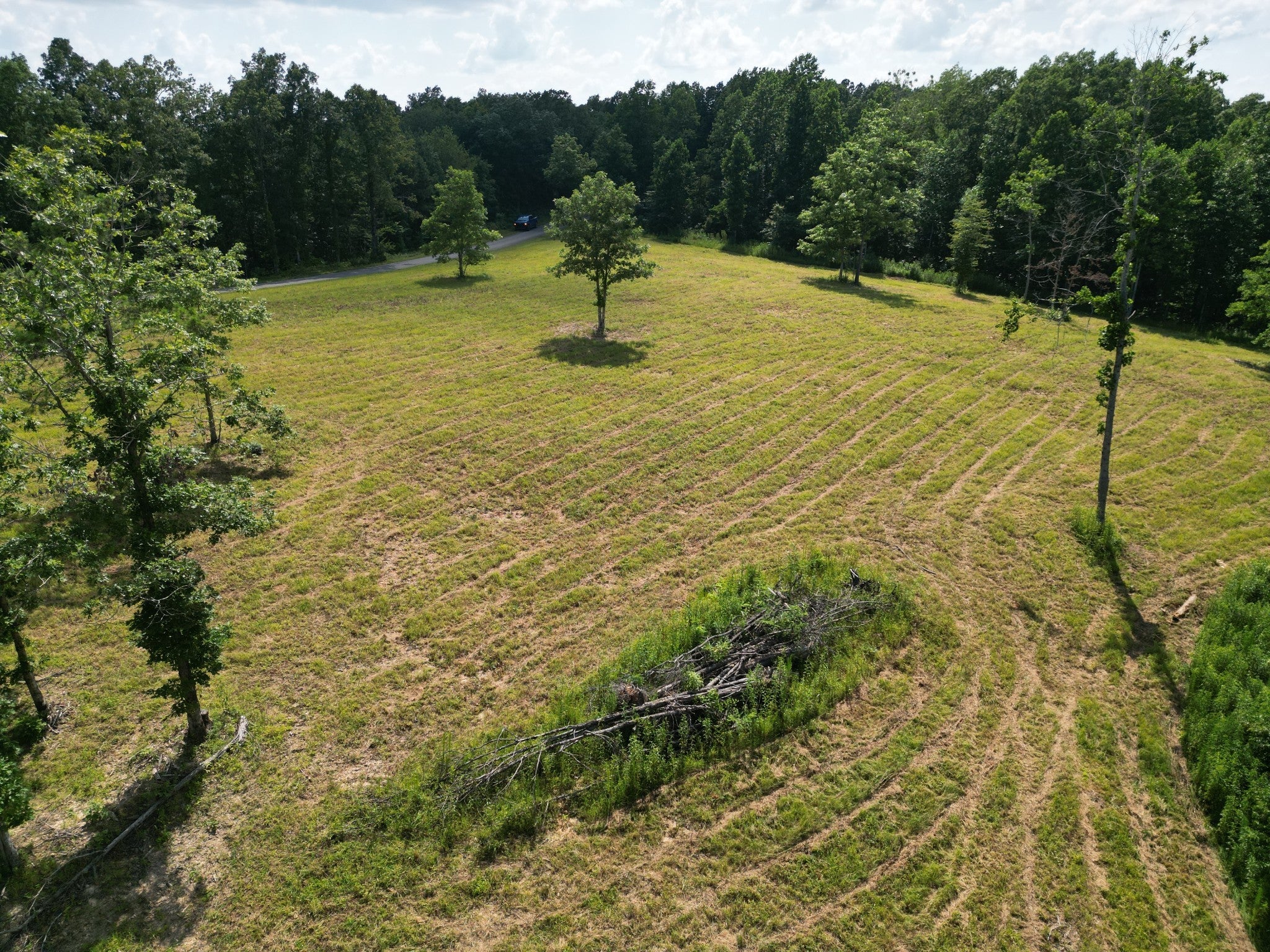 Photo of Listing #2923489