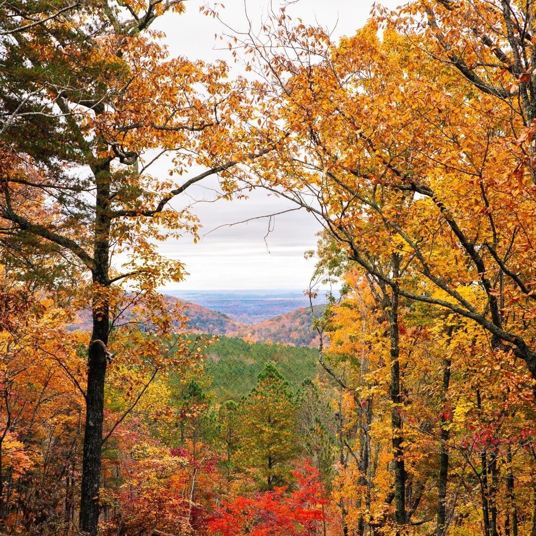 Photo of Listing #2923715