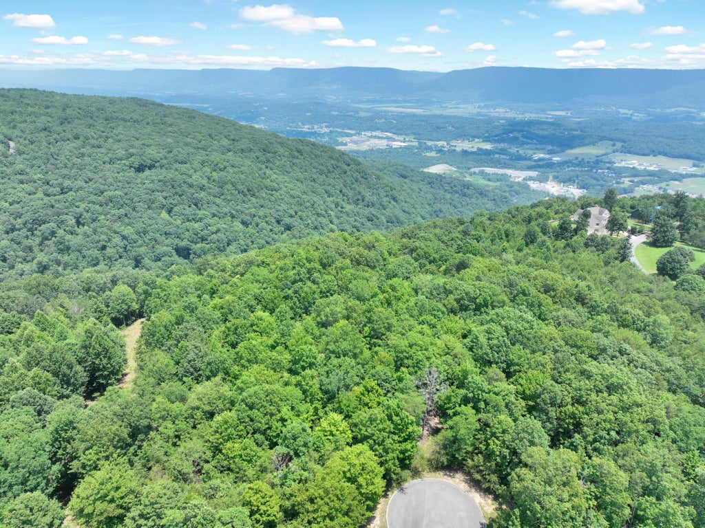 1189 Cloud Land Lane, Dunlap