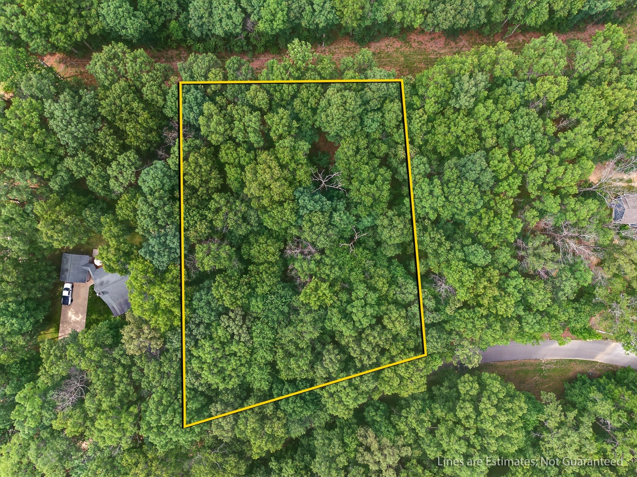 Photo of Listing #2924308