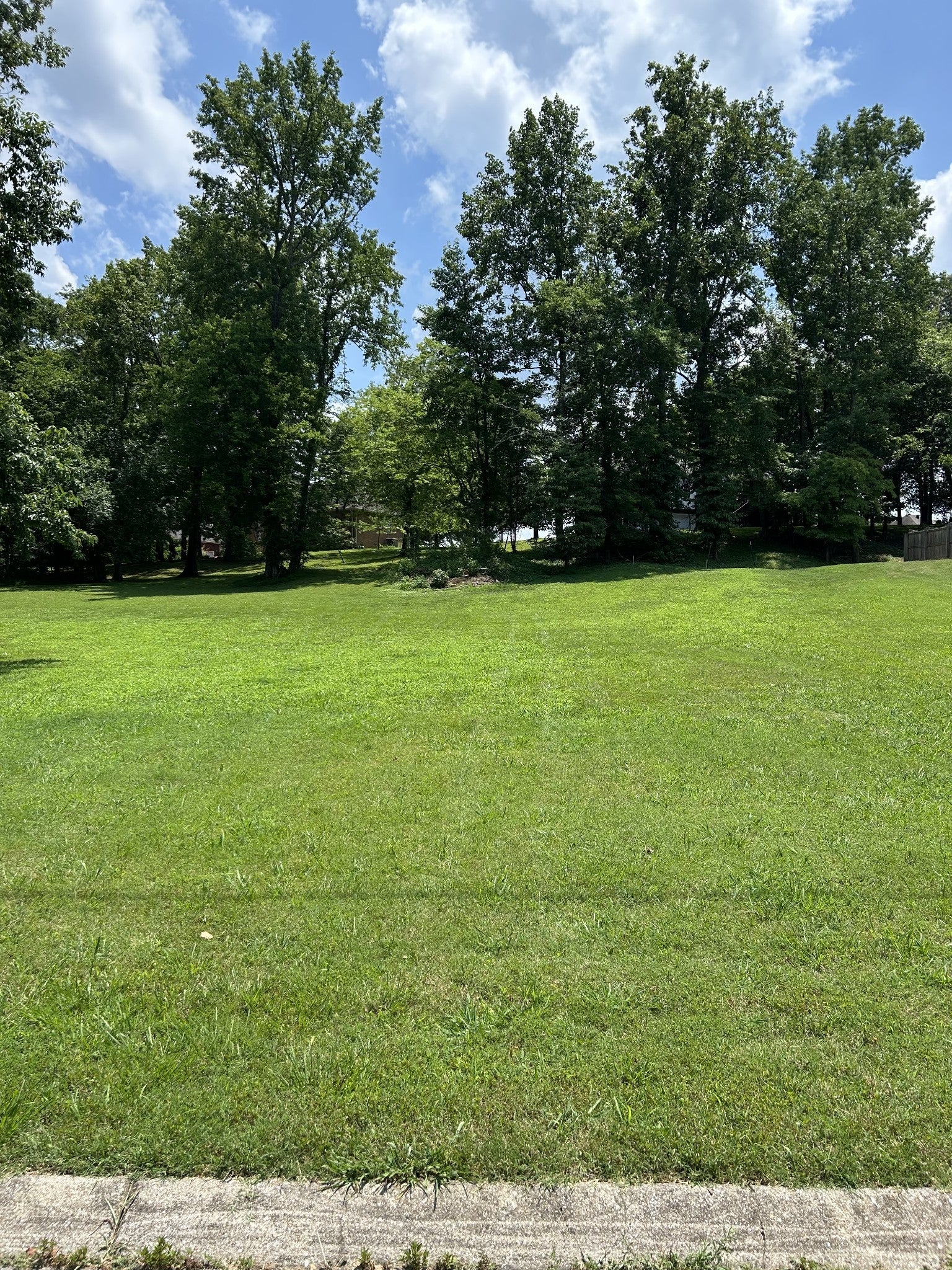 Photo of Listing #2924672