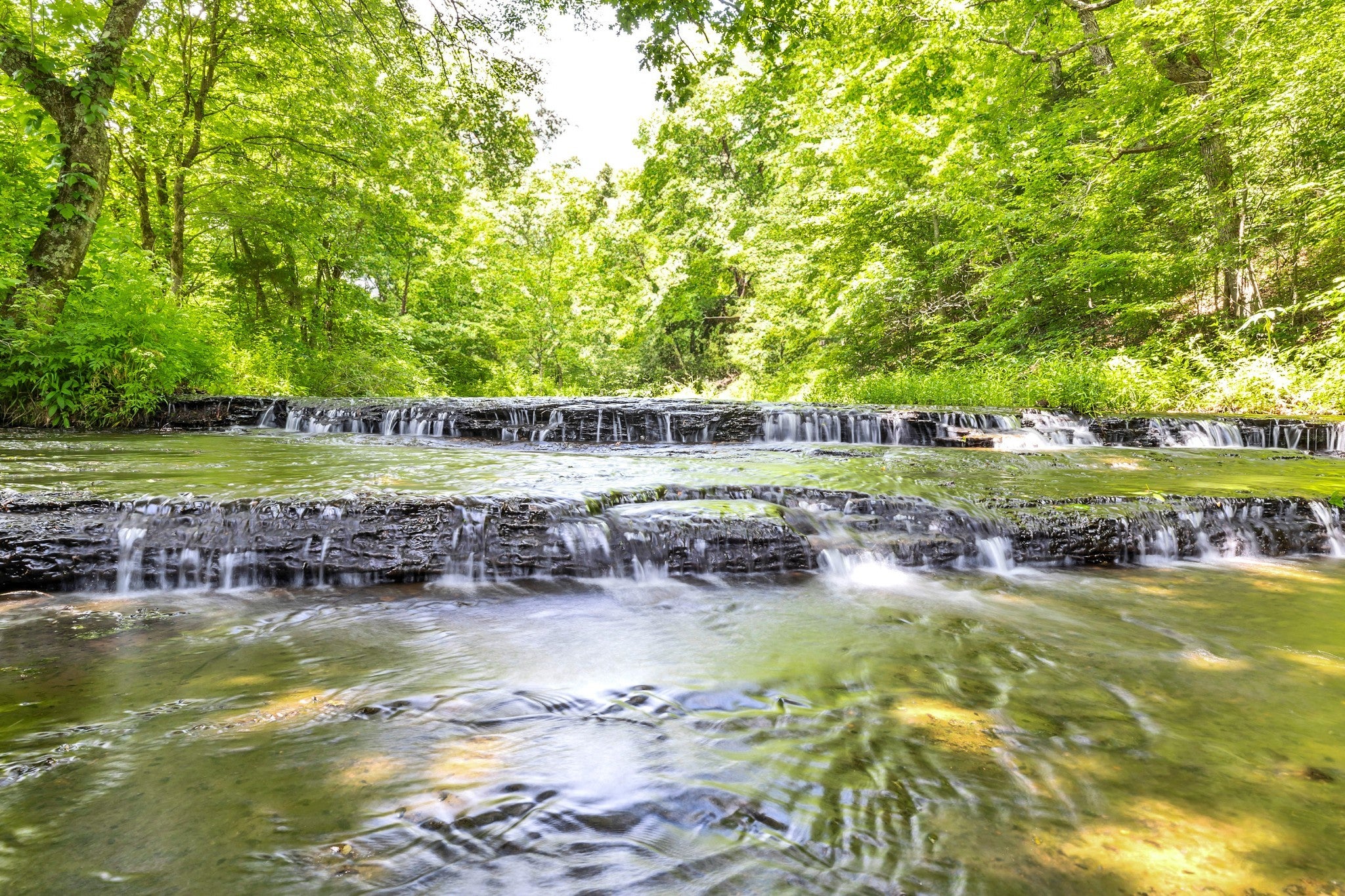 Photo of Listing #2925030