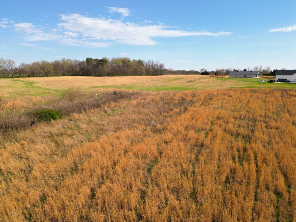 8 Minnis, Springfield