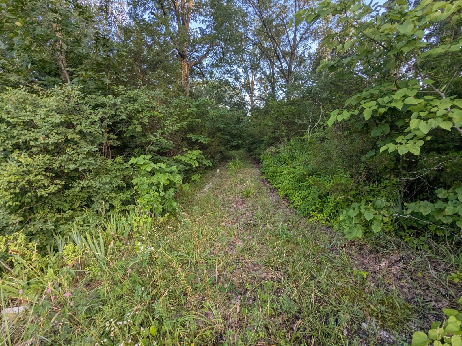 Photo of Listing #2926037