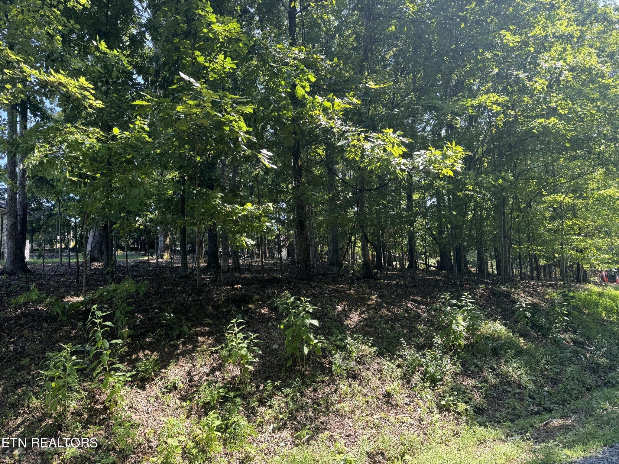 Photo of Listing #2926081