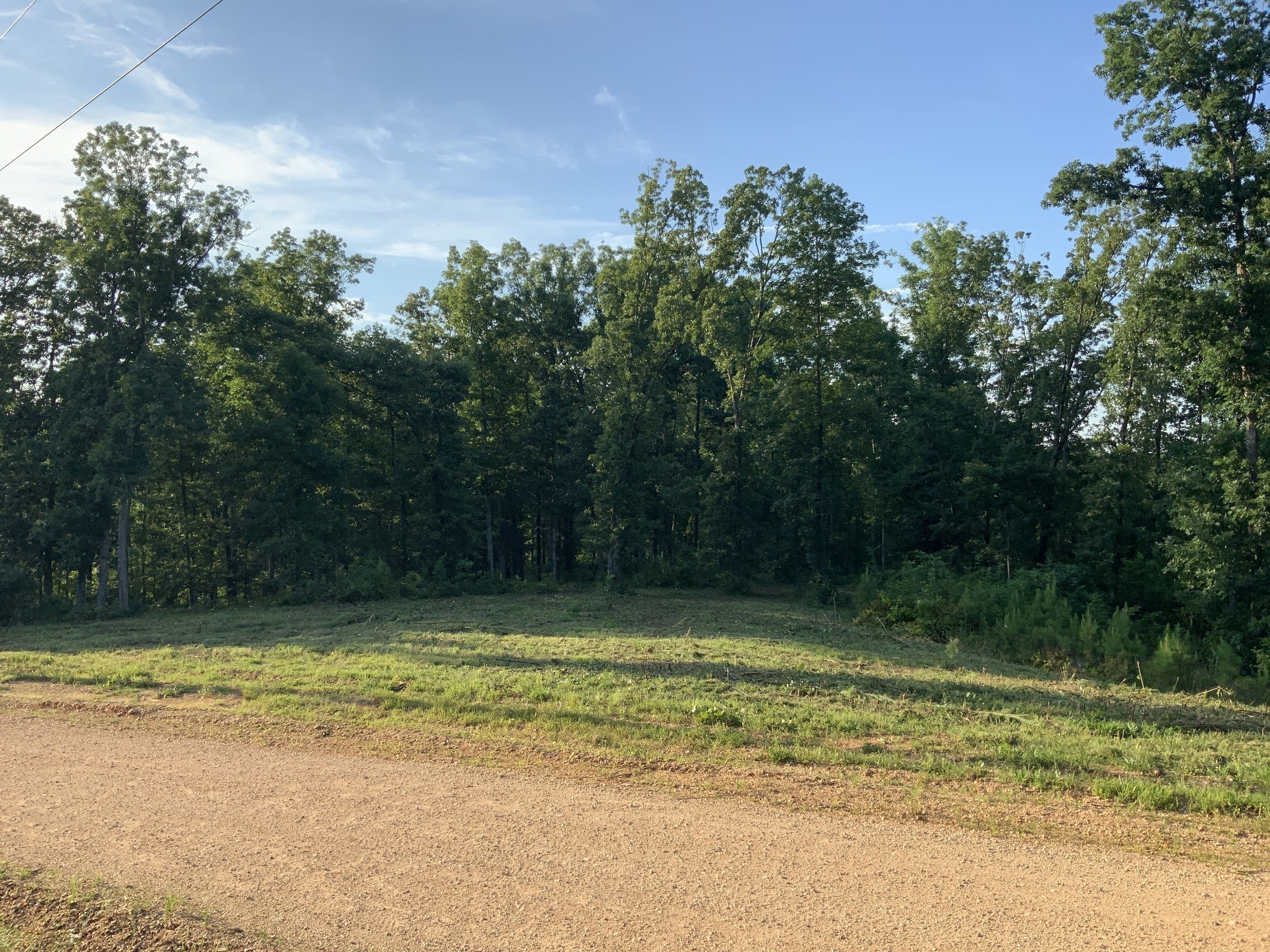 Photo of Listing #2926153