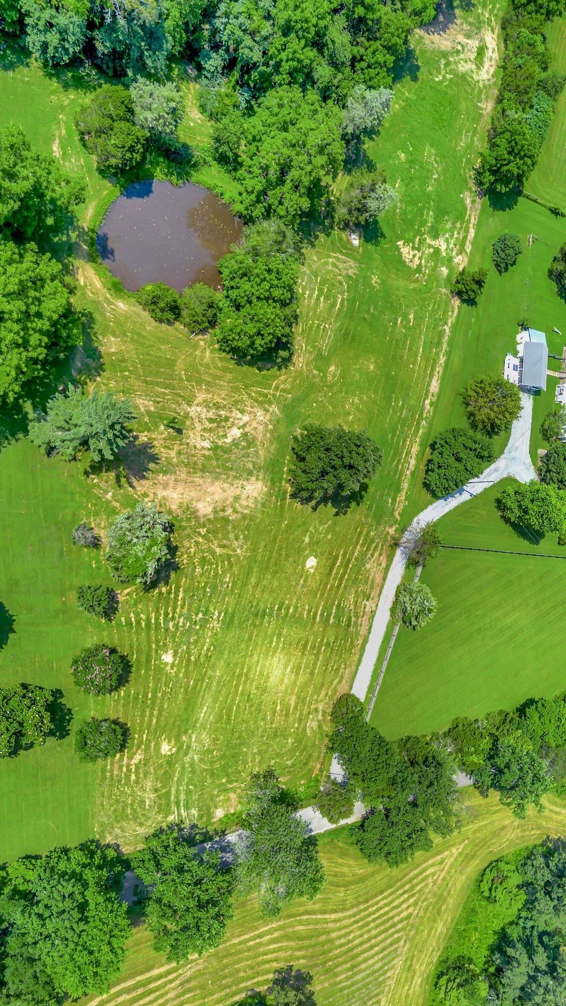 Photo of Listing #2926603