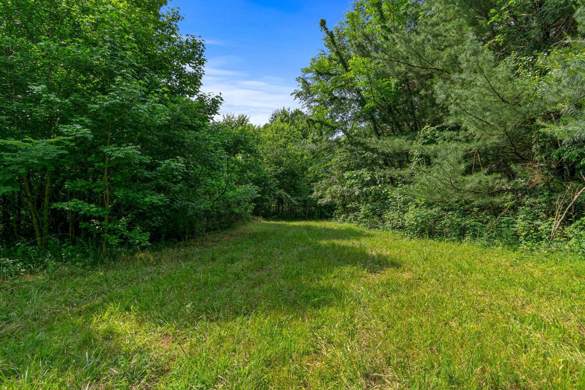 Photo of Listing #2926654