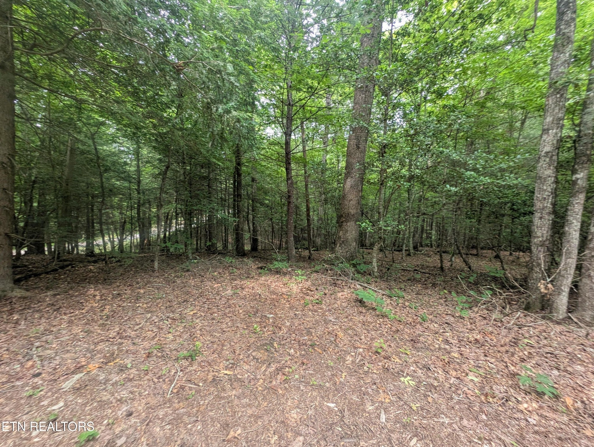 Photo of Listing #2927468