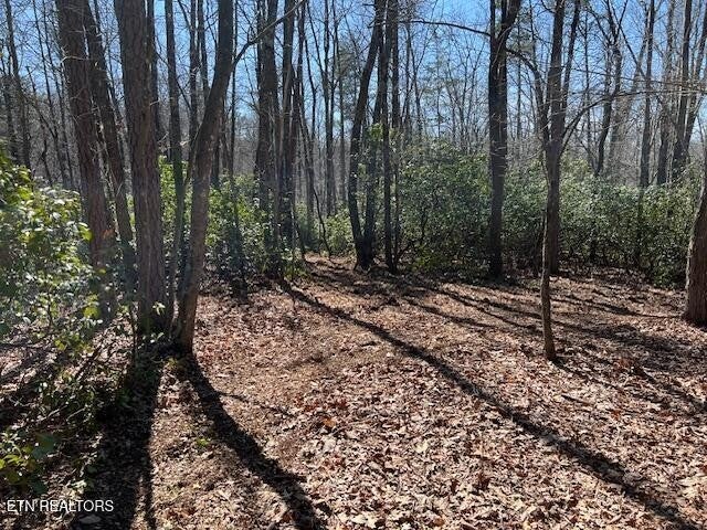Photo of Listing #2928141