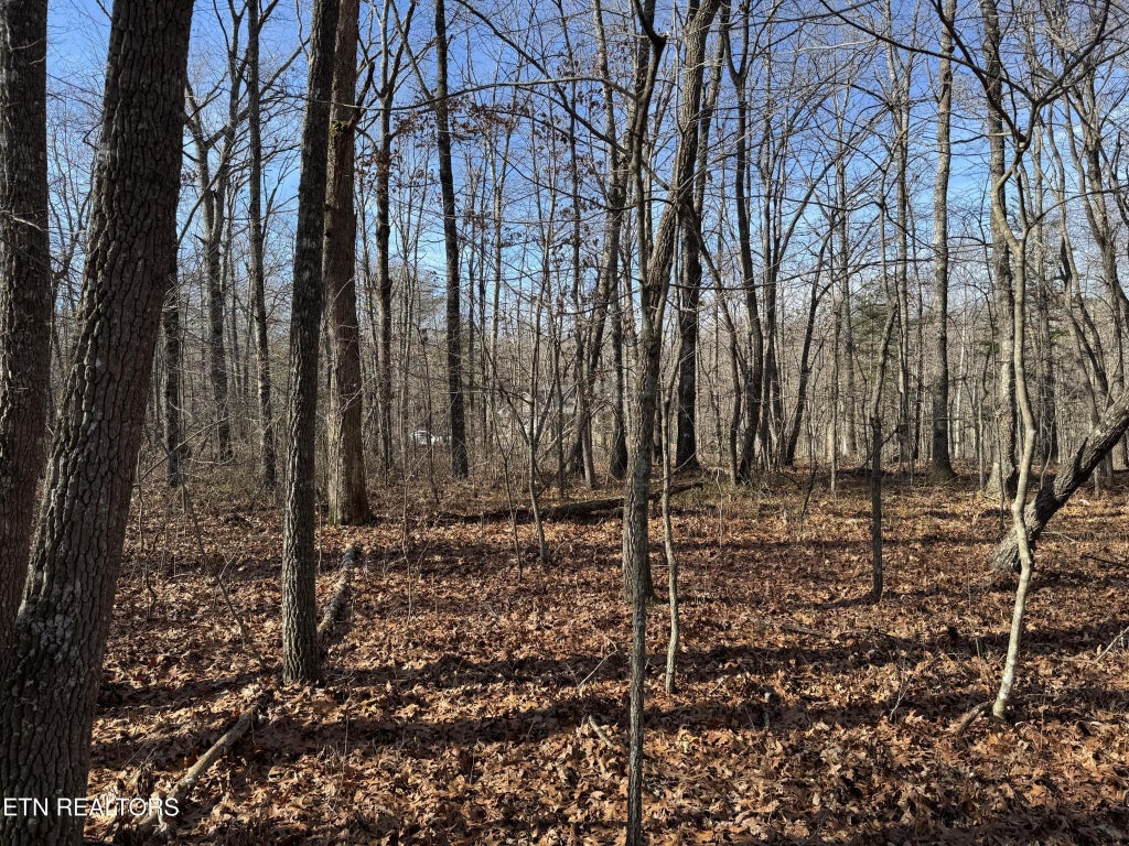 0 Sycamore Bend, Monterey