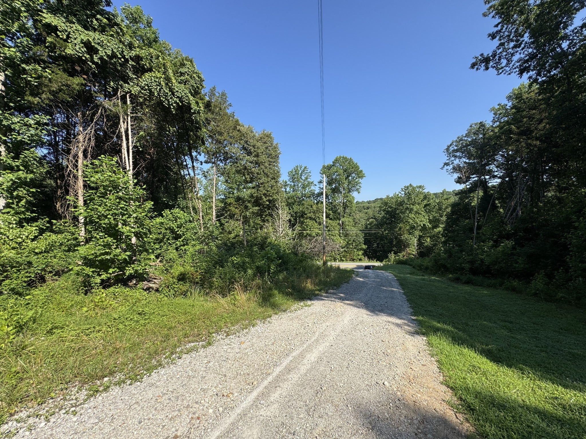 Photo of Listing #2928204