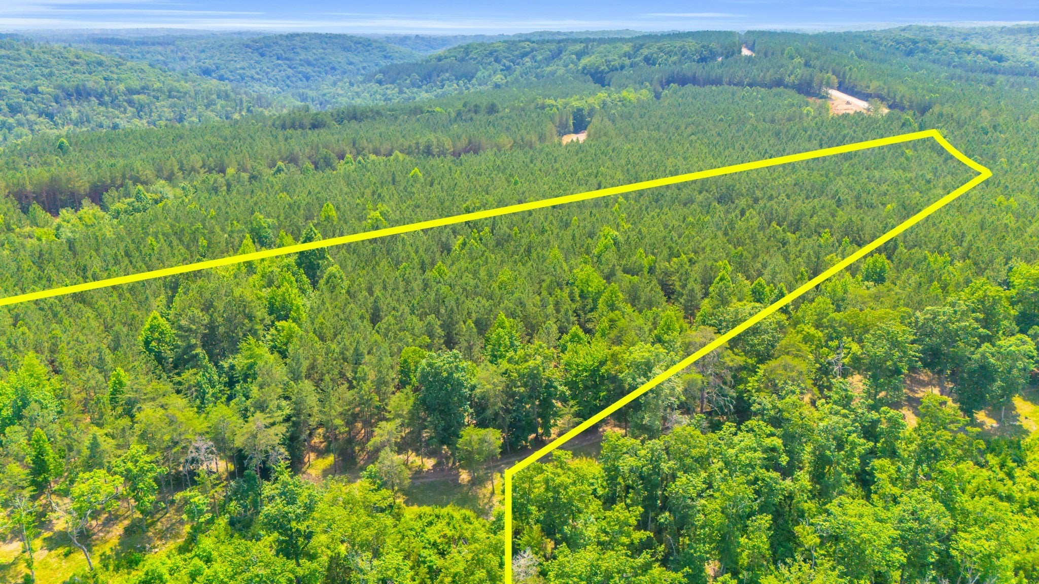 Photo of Listing #2928469