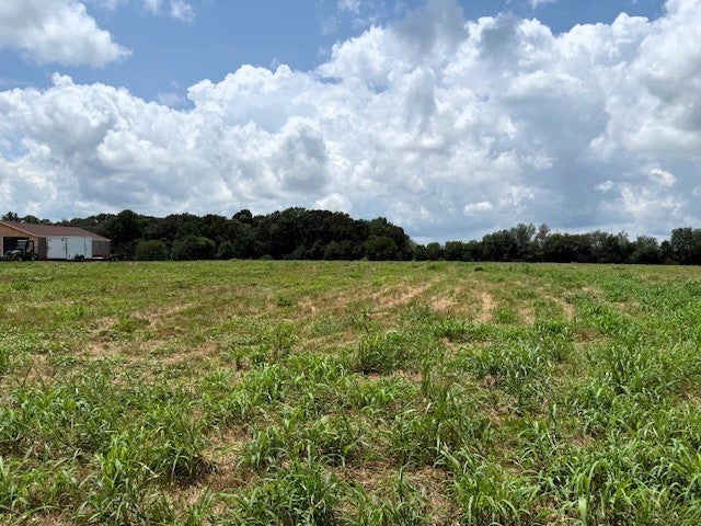 Photo of Listing #2928595