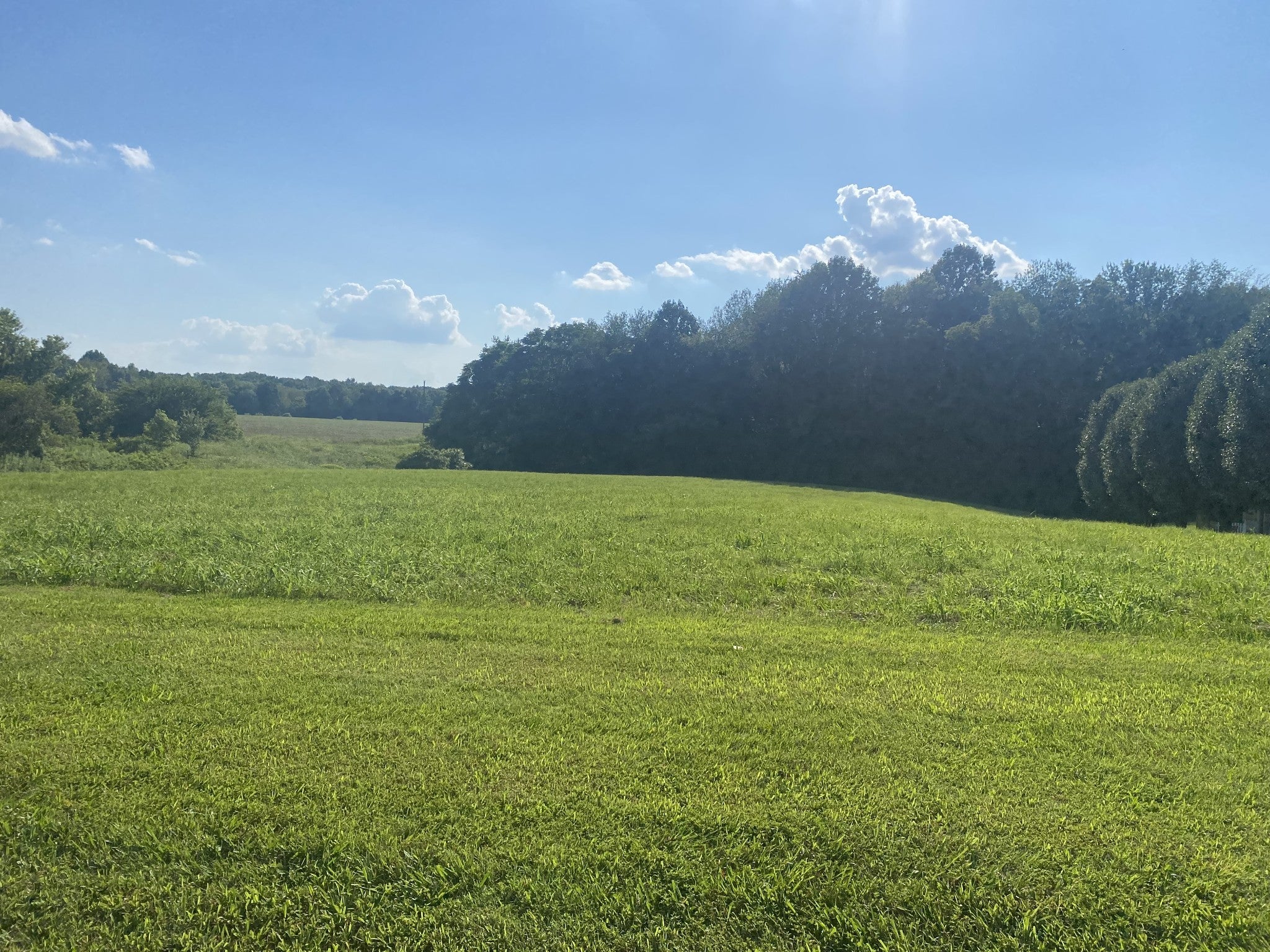 Photo of Listing #2929029