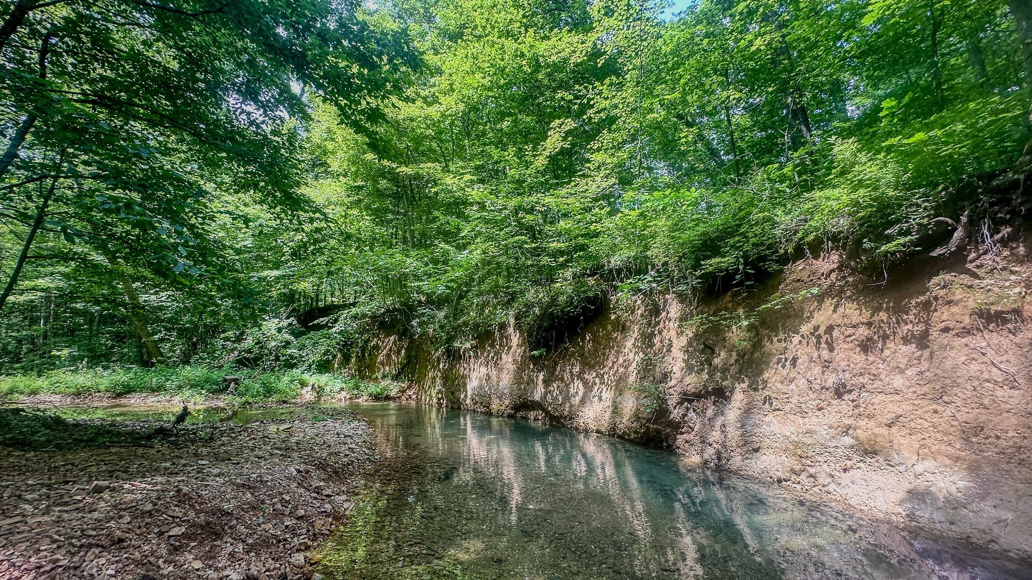 Photo of Listing #2929139