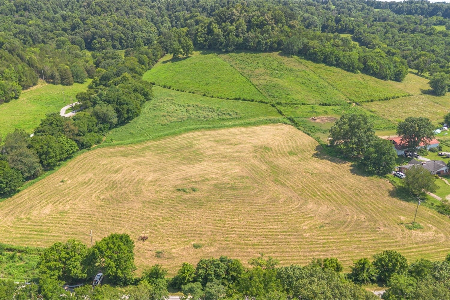 Photo of Listing #2929737