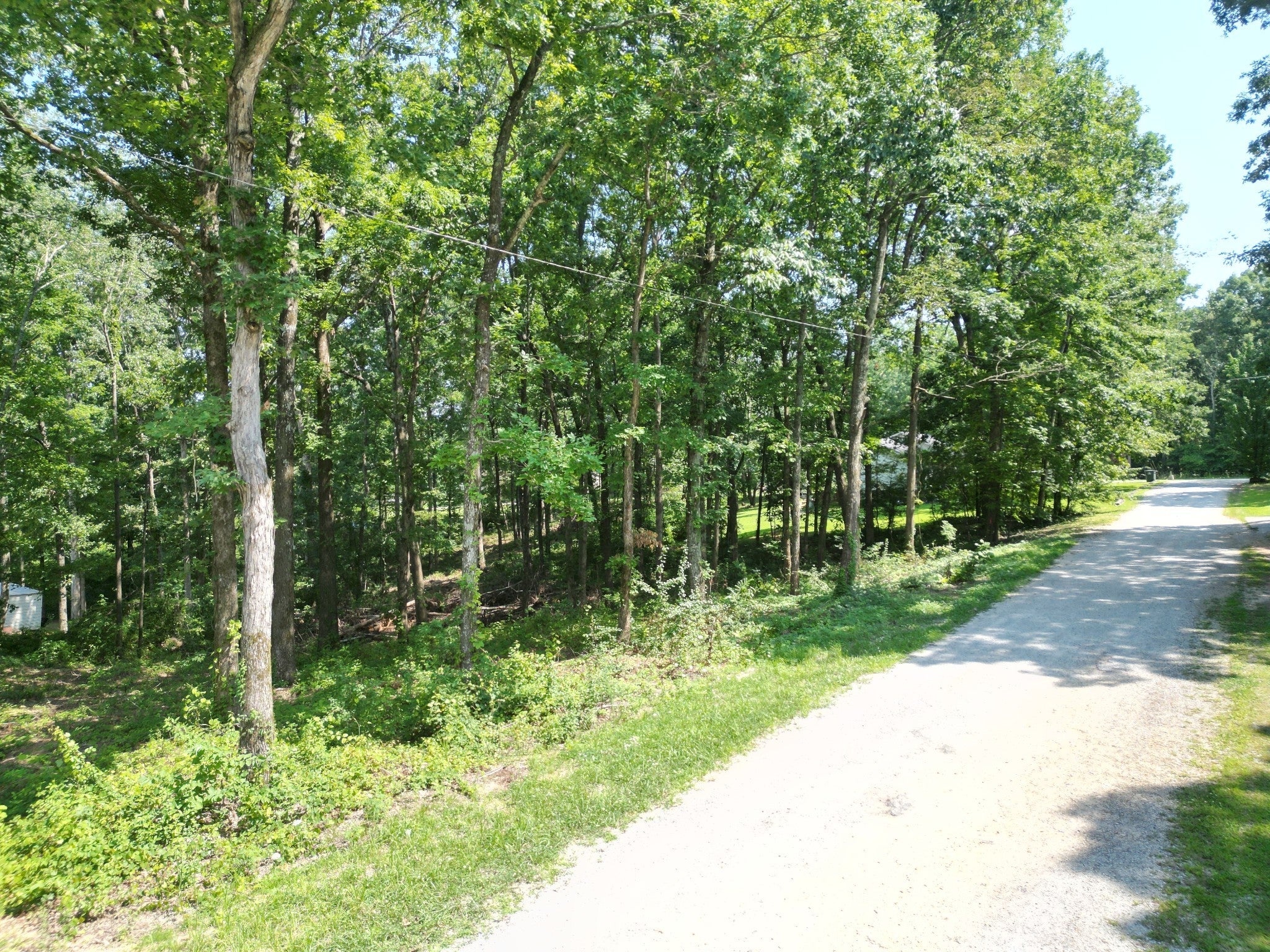 Photo of Listing #2931552