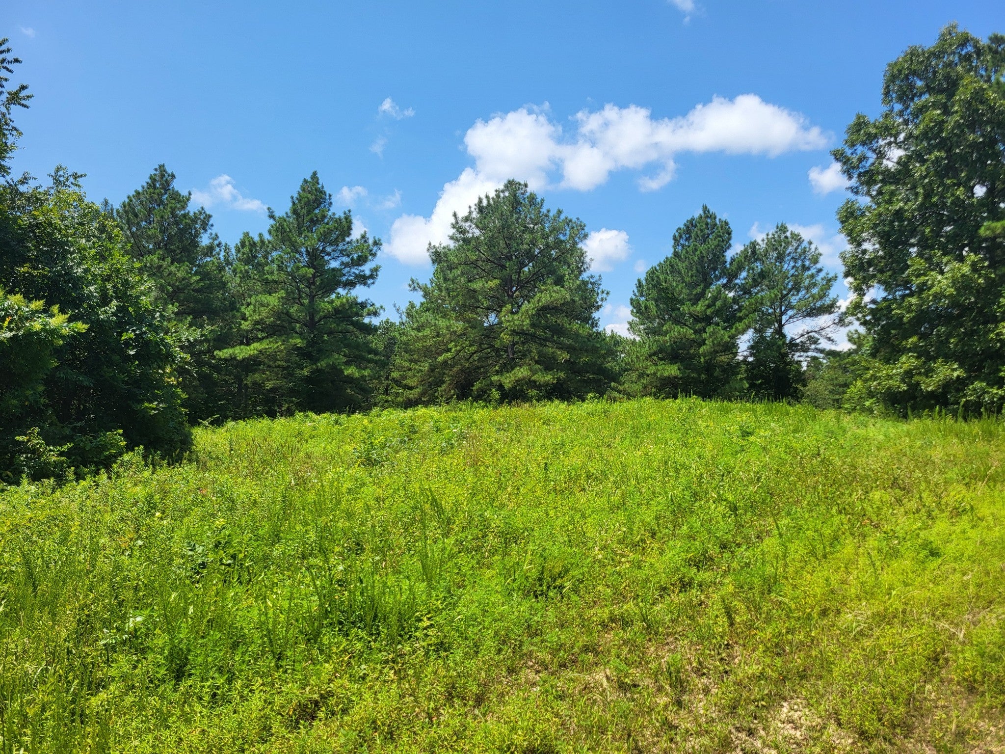 Photo of Listing #2931610