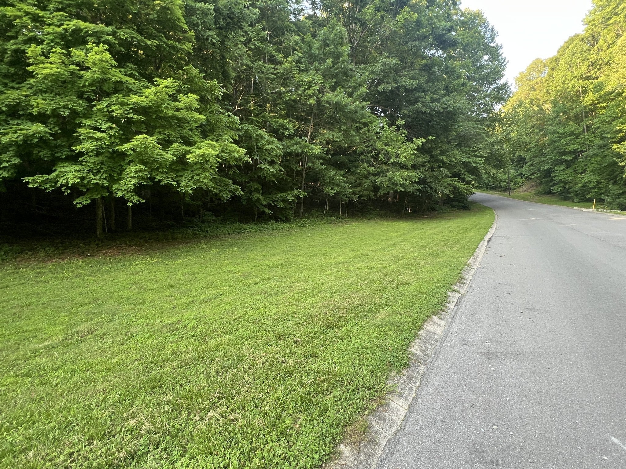 Photo of Listing #2931629