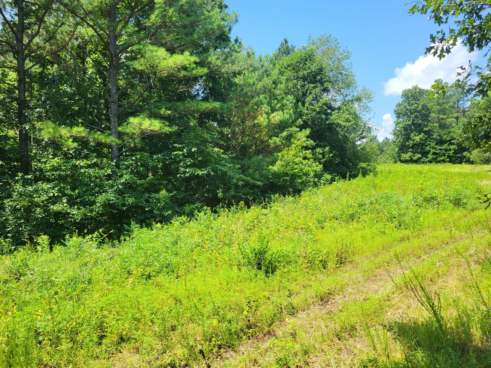 Photo of Listing #2931890