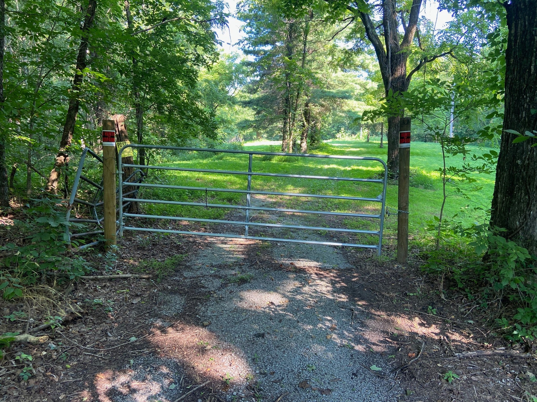 Photo of Listing #2936636