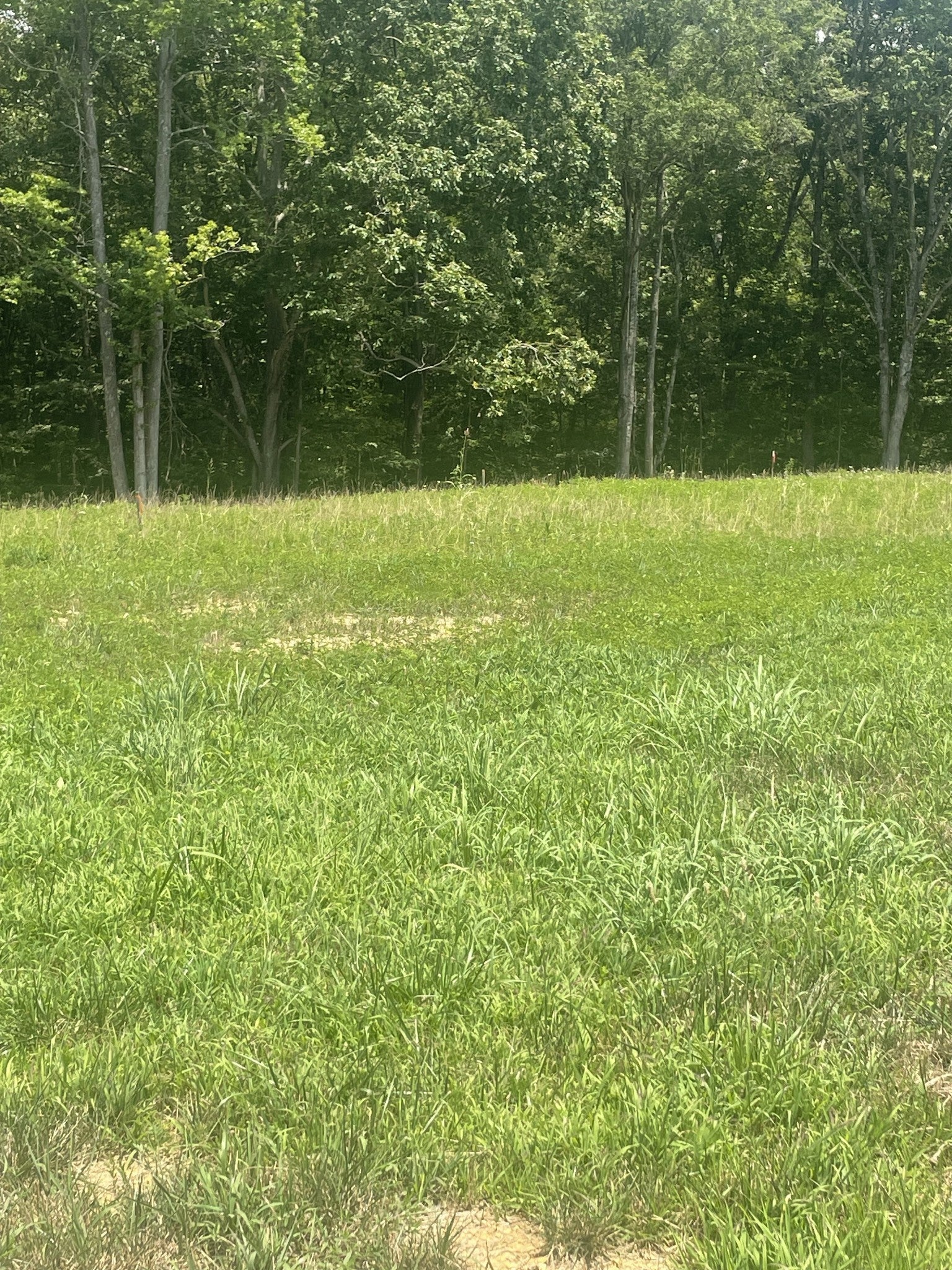 Photo of Listing #2936673