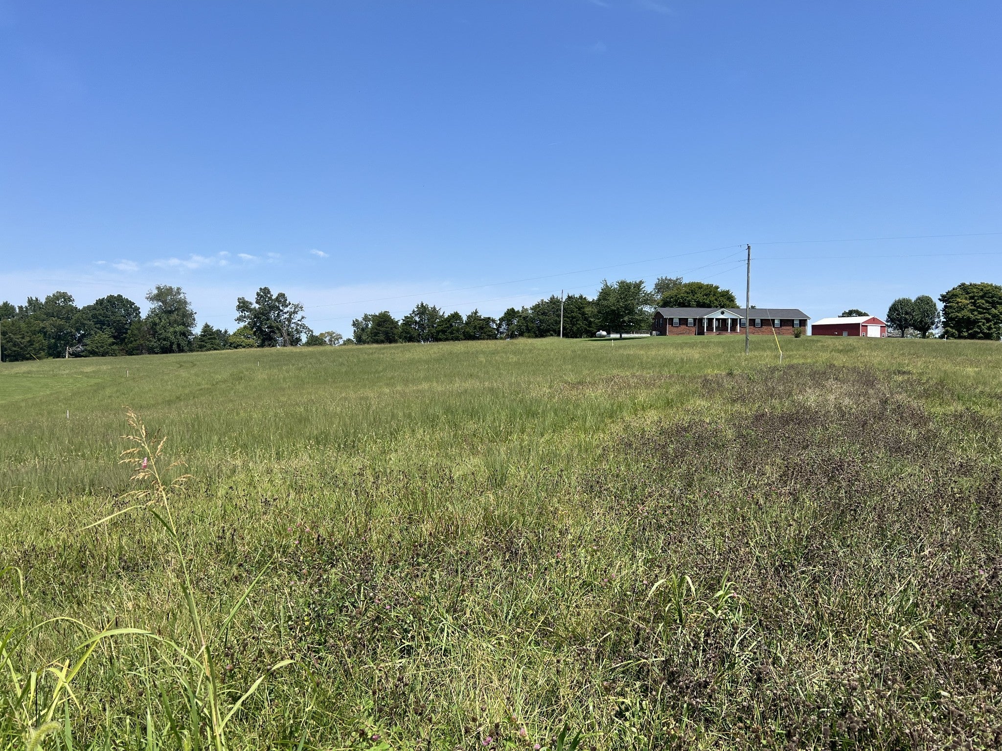Photo of Listing #2941273