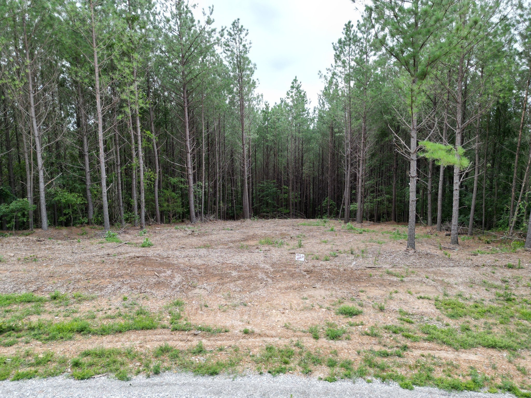Photo of Listing #2941580