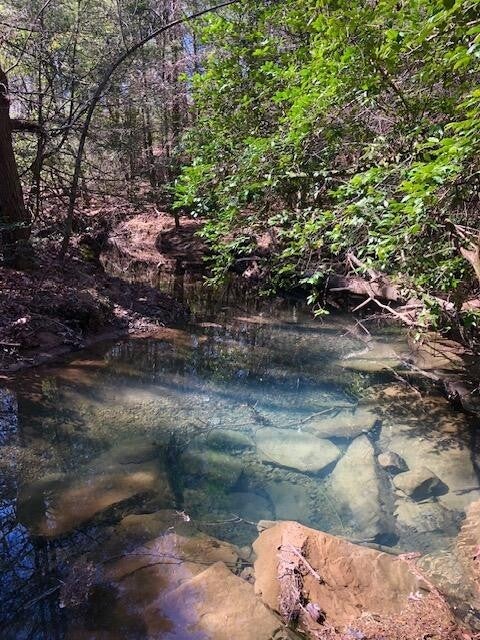 Photo of Listing #2941993