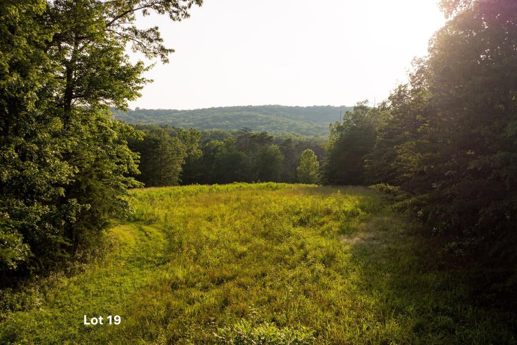 0 Long Branch Road, Rising Fawn