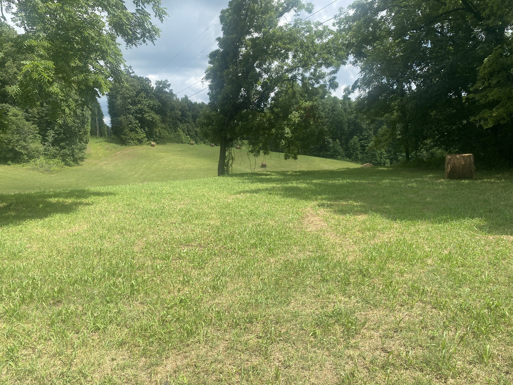 Photo of Listing #2942027